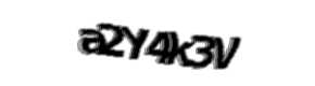 Security check image, please type the characters shown