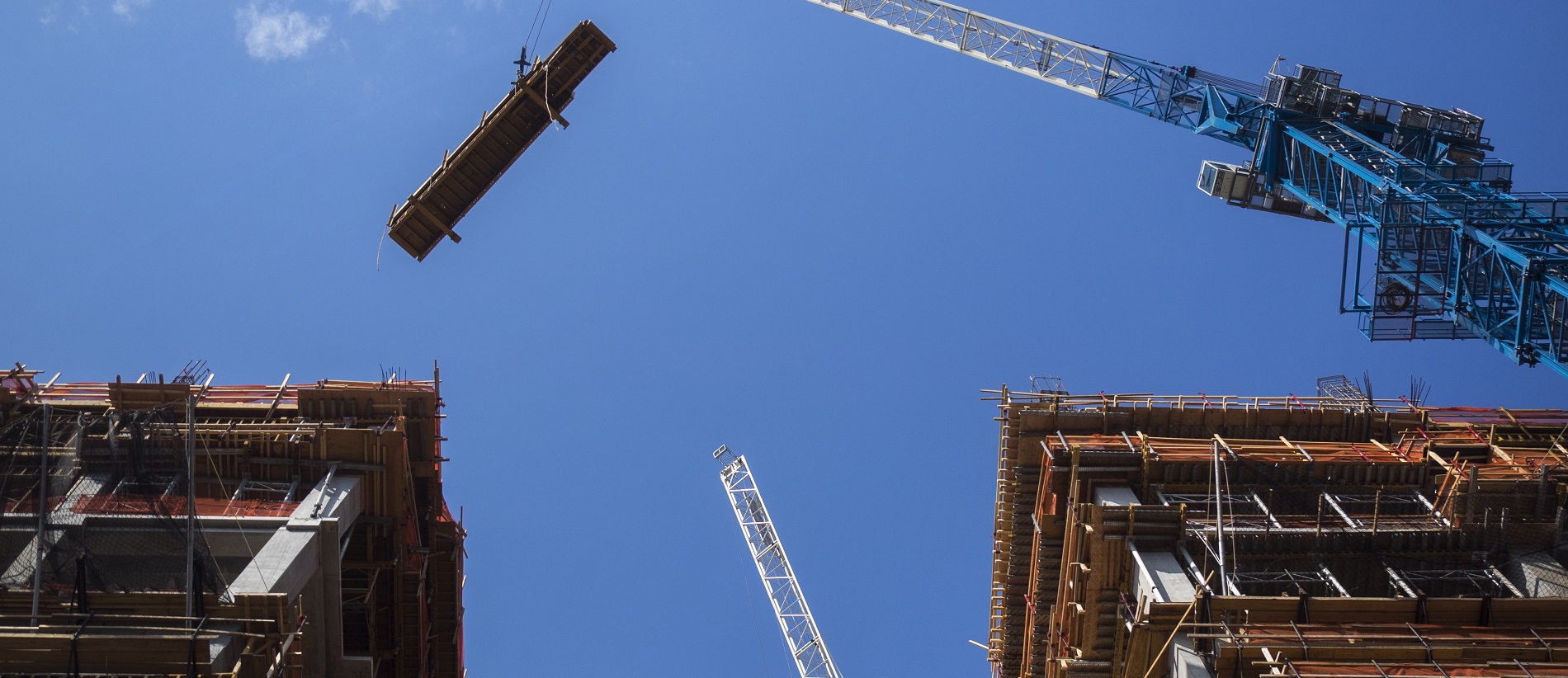 Lockton bolsters surety capabilities with industry expert Sarah