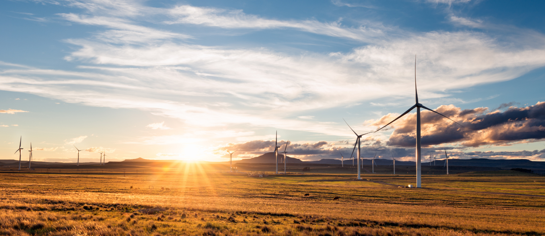 Landscape photo of electric wind turbines in a green valley. Molteno, Eastern Cape, South Africa
