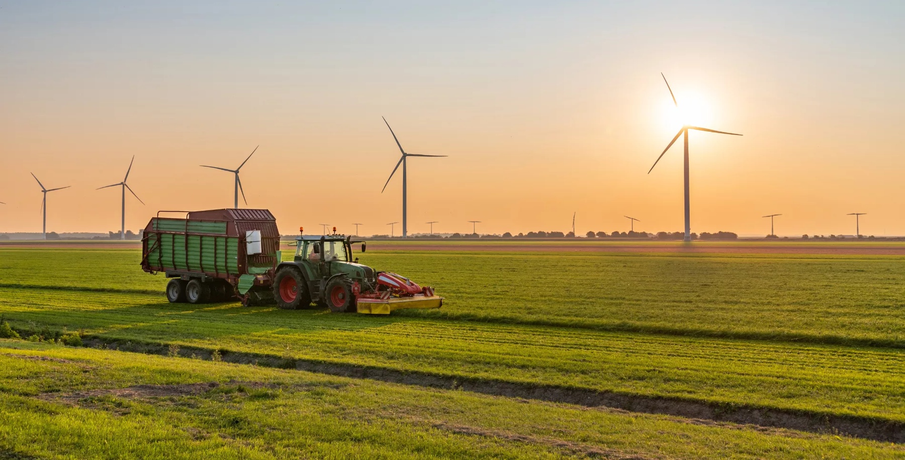 Tractor with trailer harvesting on a field near wind turbines at sunset