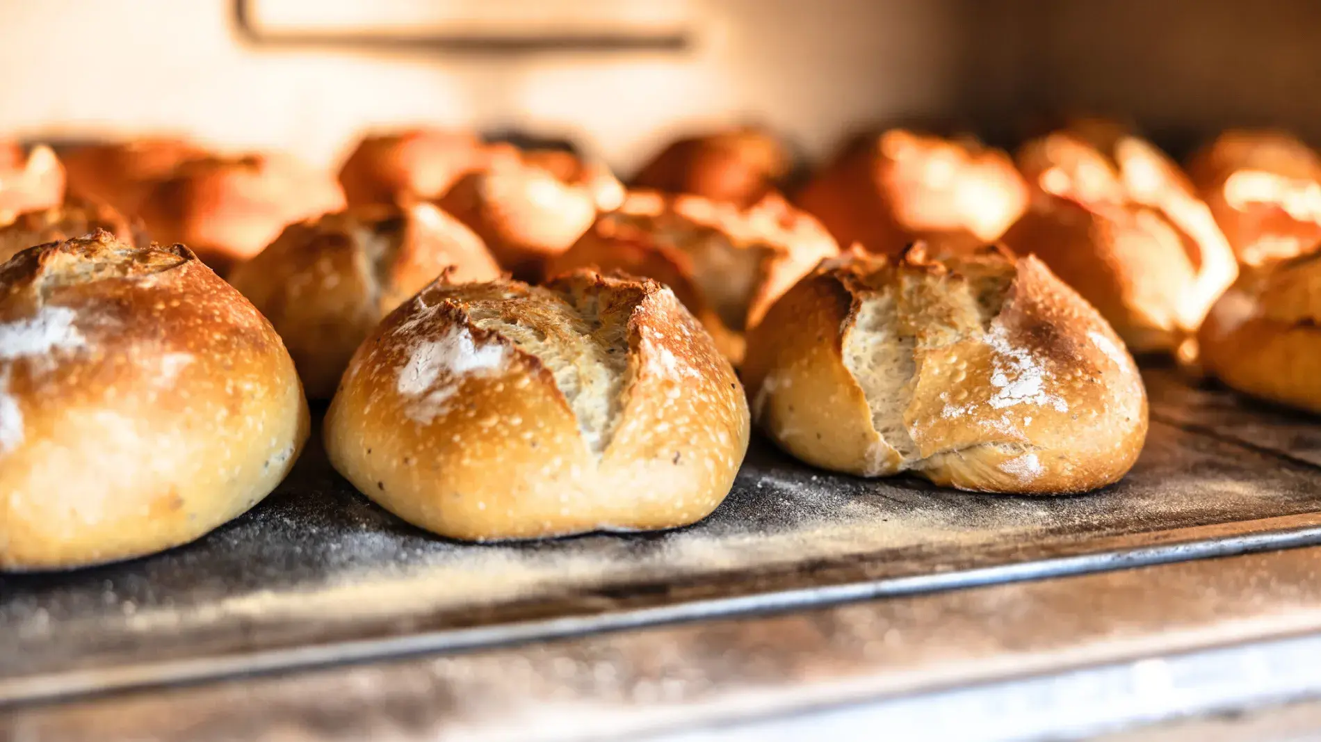 Comprehensive Product Recall and Reputational Risk Protection