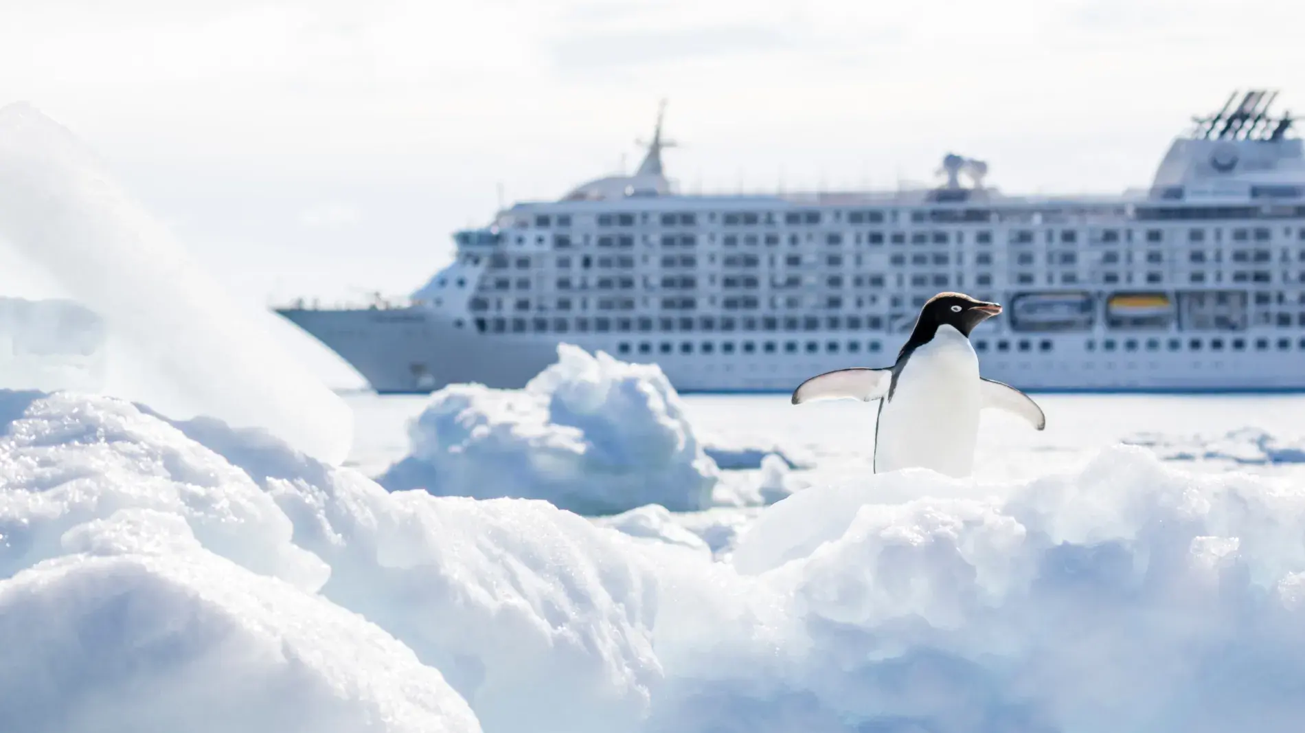 winter-cruise-penguin-alaska