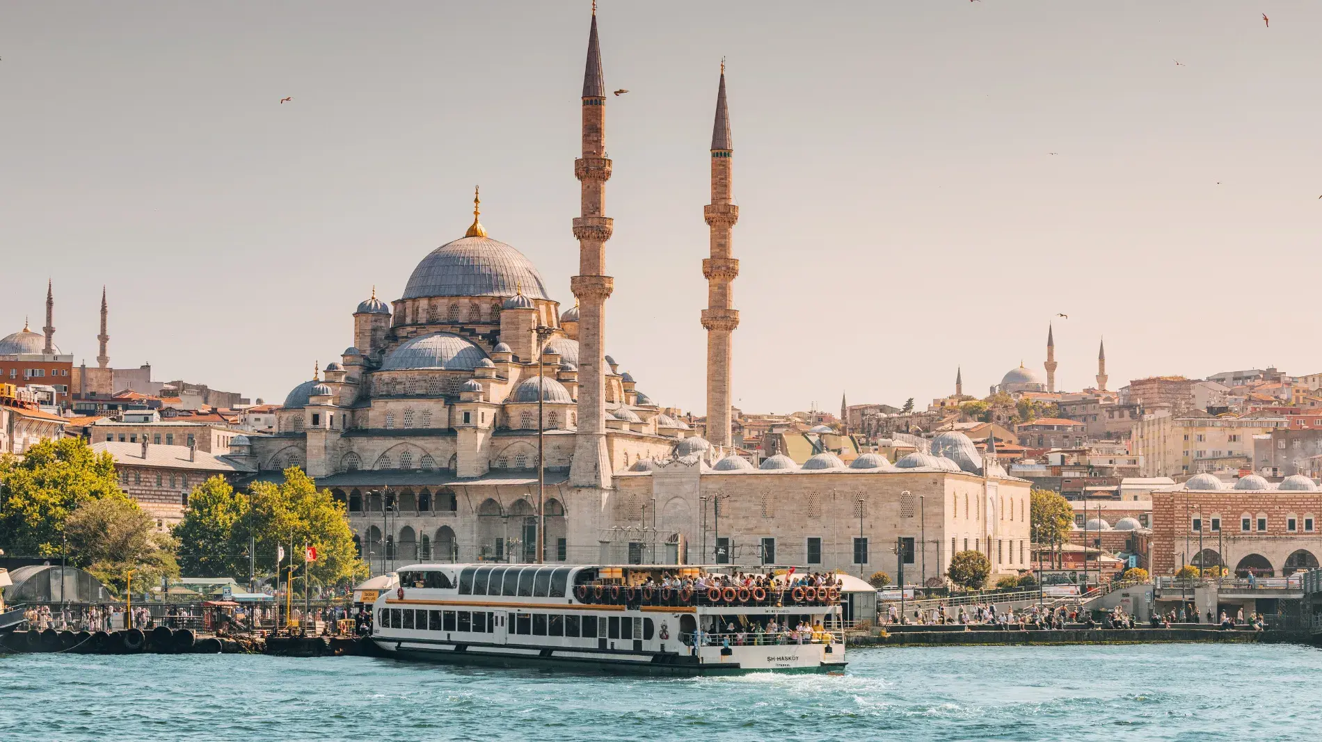 city-dome-ferry-tourism