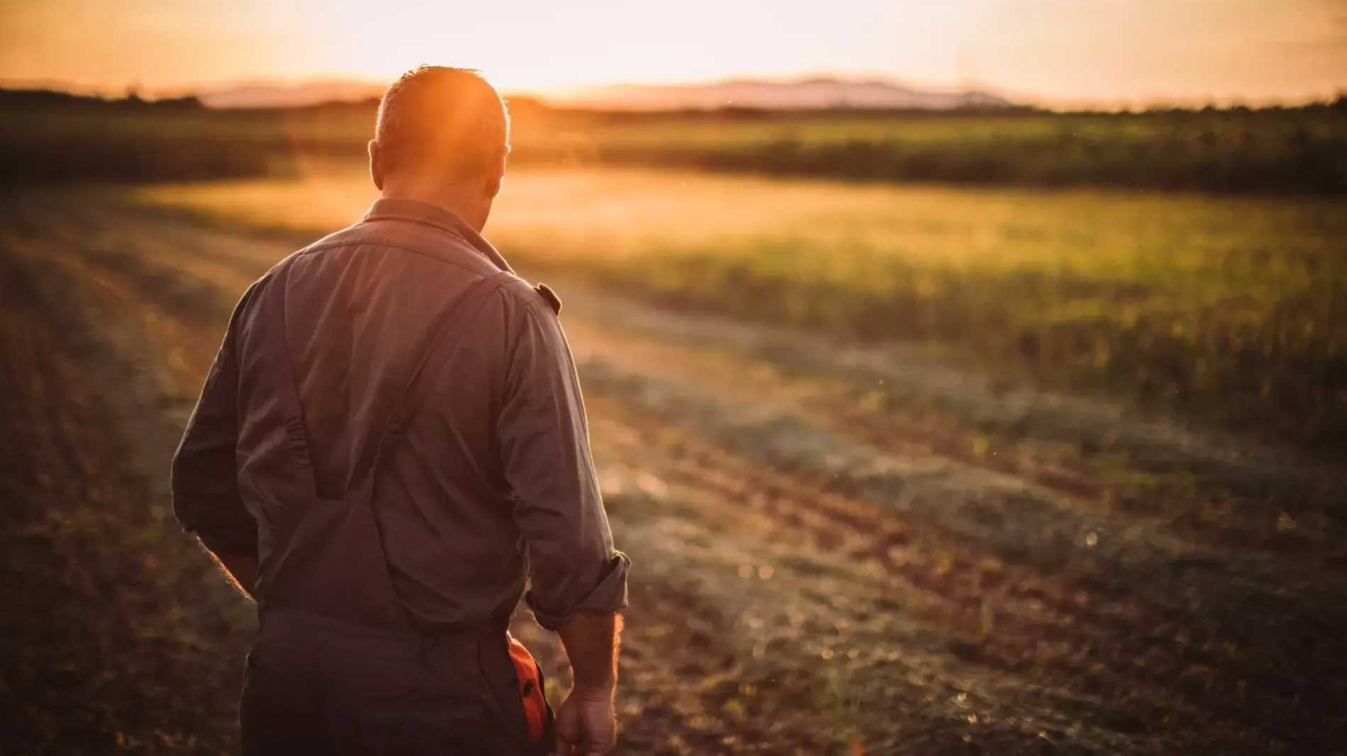 Farmer in field