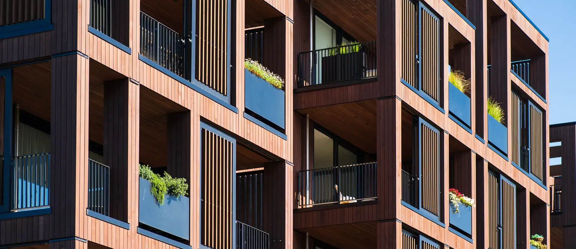 City apartments on a clear day.
