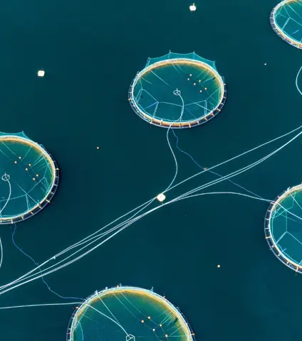 1900x822