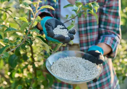 Geopolitical conflict in the Strait of Hormuz is driving fertilizer shortages, energy shocks, packaging inflation, and rising war‑risk insurance costs across global supply chains.