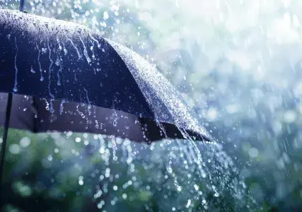 Typhoons don't just damage property. Learn how workforce disruptions, supply chain delays, and business interruption can impact resilience and business continuity.