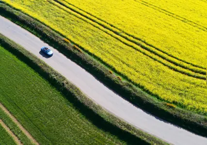 Insurance is largely based on statistics – and motor insurance is no exception. 
Premiums are calculated from tracking claims and identifying common traits from collision incidents, such as the frequency of certain vehicles involved and how those incidents occurred.
Within the performance vehicle sector, claims arising from loss of control give insurers the greatest cause for concern. It is, therefore, crucial drivers remain composed behind the wheel and in control of their vehicle at all times. 