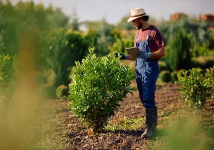 The carbon market can appear complex, with multiple stakeholders each holding differing interests at the various stages of the credit lifecycle. This complexity can present challenges to new entrants in identifying their position, roles, and associated risks within the carbon market. 