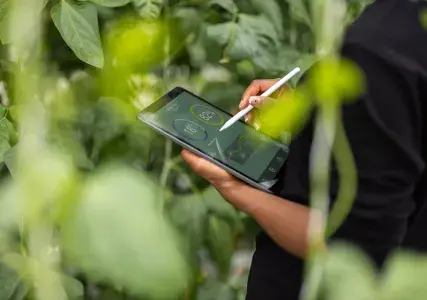 New report: From volatility to viability: shaping financial resilience in the food & beverage industry 
It is no secret that the impacts of climate change are already reshaping the food and beverage (F&B) industry.