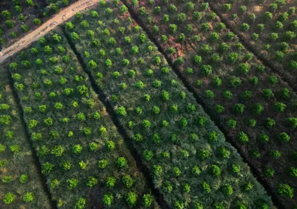 The voluntary carbon credits market, valued at approximately $2 billion in 2024, is projected to grow to up to $35 billion by 2030, according to research from MSCI. These projects need financing, creating a significant opportunity for financial institutions. 