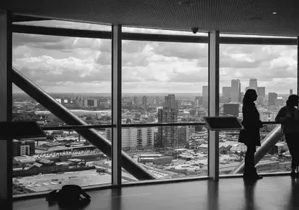 Tax Insurance Safeguards Tax Leaders’ Decisions 