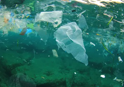 As plastic production has grown, so too has plastic-related pollution, leading to a tangible effort by institutions and governments globally to tackle the environmental fall out, which is expected to result in a sizeable claims issue in the coming years.