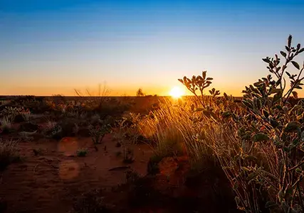 Australia’s resources and mining sector plays a foundational role in the national economy. It is also one of the most scrutinised, regulated, and operationally complex industries in which to serve as a director or officer.
The challenge for directors and officers is not avoiding risk altogether but understanding risk well enough to govern decisively.
This is where a resilient approach to D&O risk becomes critical.
