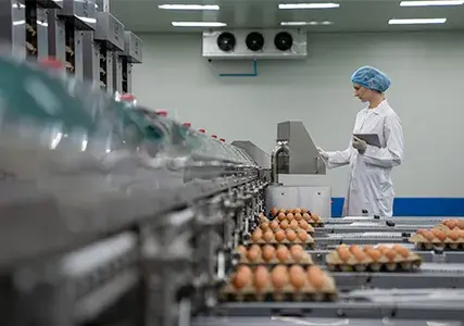 Australia’s food manufacturing sector is a dynamic and high-stakes environment. From contamination events to supply chain fragility, bakery, confectionery, frozen food and ready-meal producers all operate in an environment where one misstep can hit margins, brand value and customer trust.
The sector has always been competitive, but the risk landscape has become more complex. 
Shifting consumer preferences, the effects of climate change, and growing reliance on technology means producers are juggling more moving parts than ever before.
The reality is clear. Resilience is no longer just an operational concern, it’s a boardroom issue.  
