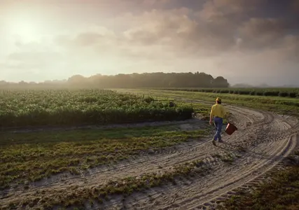 Agronegócio e cibersegurança mostram como o risco mudou no Brasil