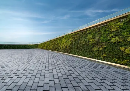 Green walls (also referred to as living walls or vertical gardens) have become increasingly common within our urban landscape. Typically incorporated into the vertical structures of buildings, they are promoted to boost biodiversity, reduce air pollution, and help promote wellbeing.  

 