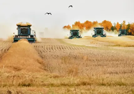 New and emerging risks are shaping the food, agriculture, and beverage industry. In today’s market, understanding key risk factors, and how to mitigate them, is essential. Here are eight emerging risks to know