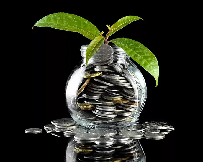 Plant on top of a jar of coins - pension, growth, 688x551px