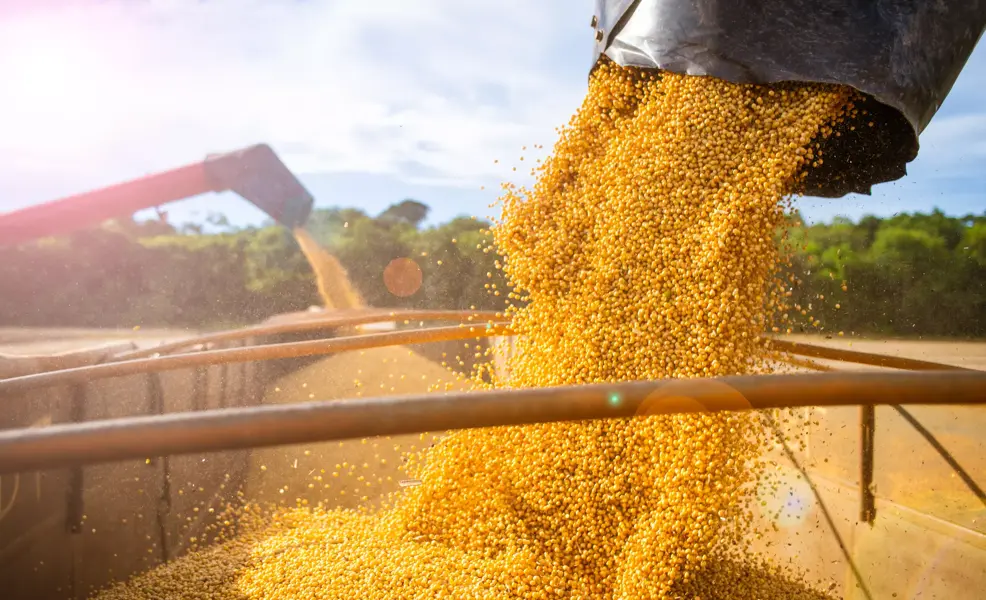 Machines storing soy in a truck after harvest in Mato Grosso.