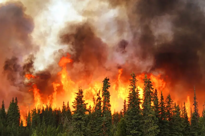 Alaska- Summer 2015- Card Street Fire- Kenai River in the Sterling area on the Kenai Peninsula in Alaska