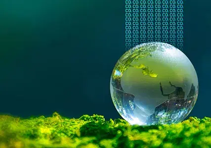 Sustainability